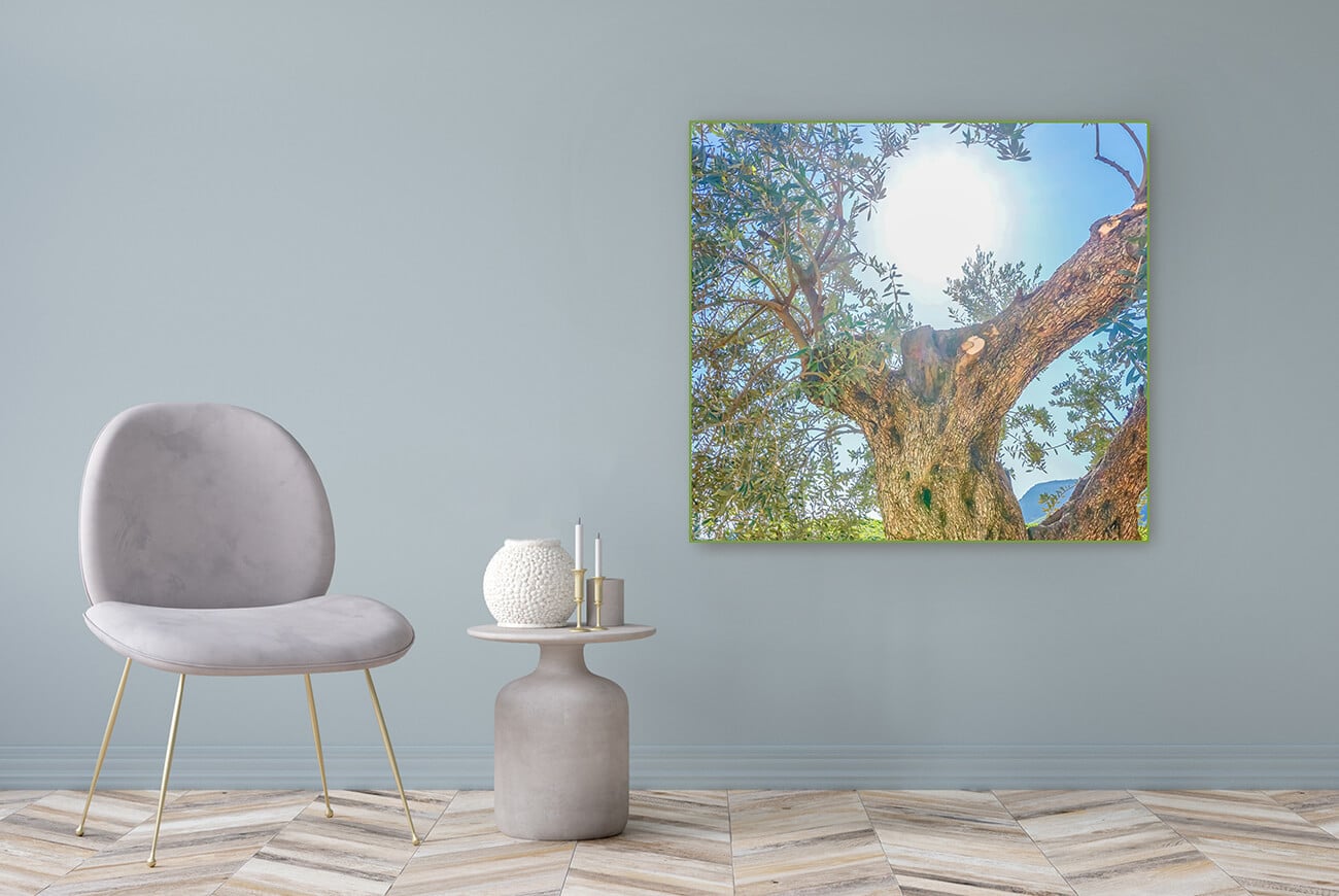 acrylic-glass-picture-blossom-111x121cm Acrylic Glass Picture Motif Blossom 111x121cm