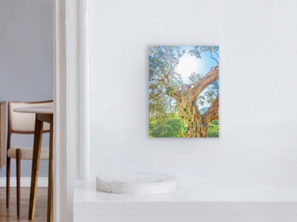 Canvas Picture Motif Blossom 33x44cm Portrait
