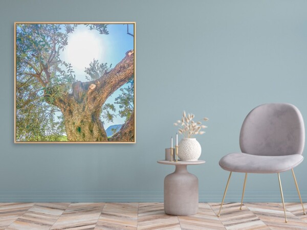 Leinwandbild mit Schattenfugenrahmen Motiv Erblühen 123x123cm